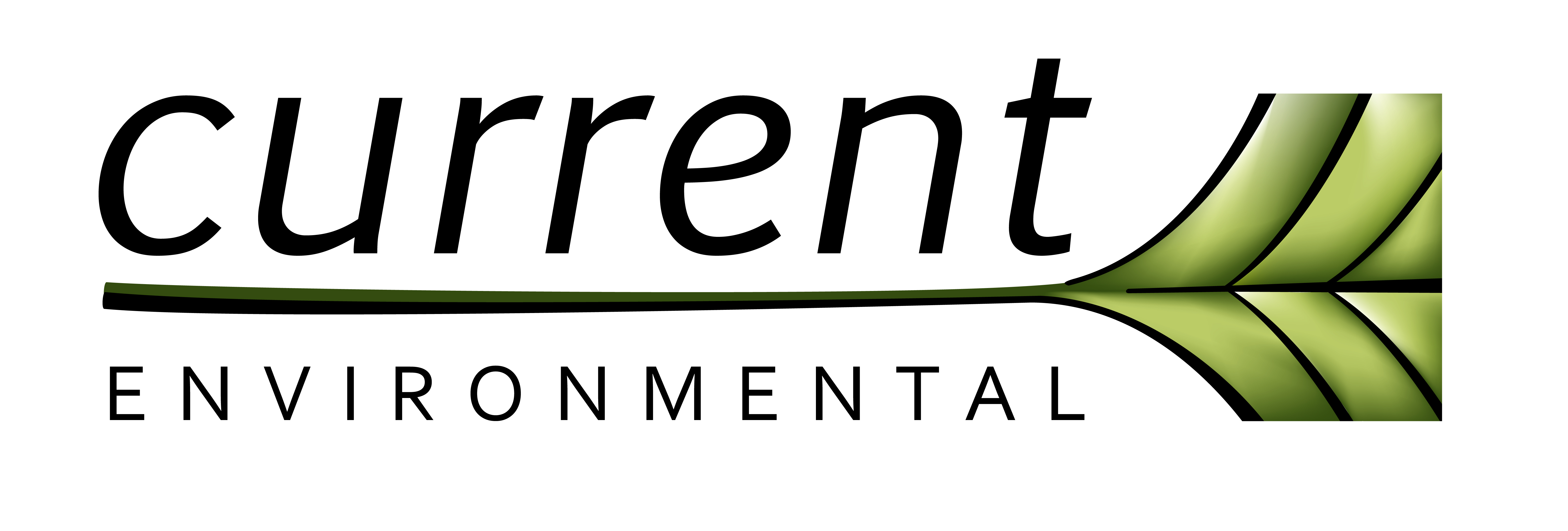 Current Environmental